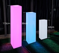 Светильник Колонна 30х60 питание от сети 220В, RGB Светильник Колонна 30х60 питание от сети 220В, RGB